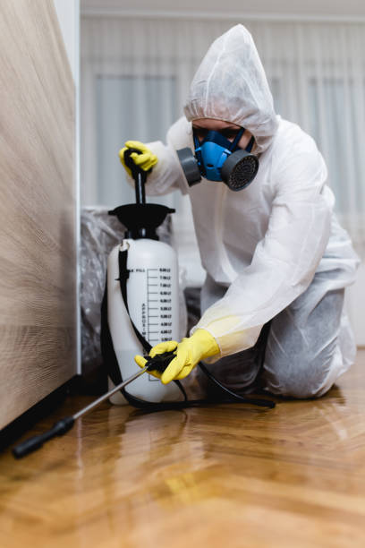 Best Real Estate Pest Inspections  in Manor, PA